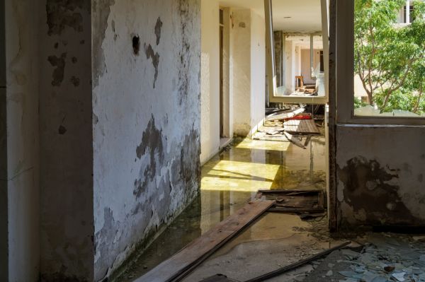 Cost of Water Removal Service in Mesquite