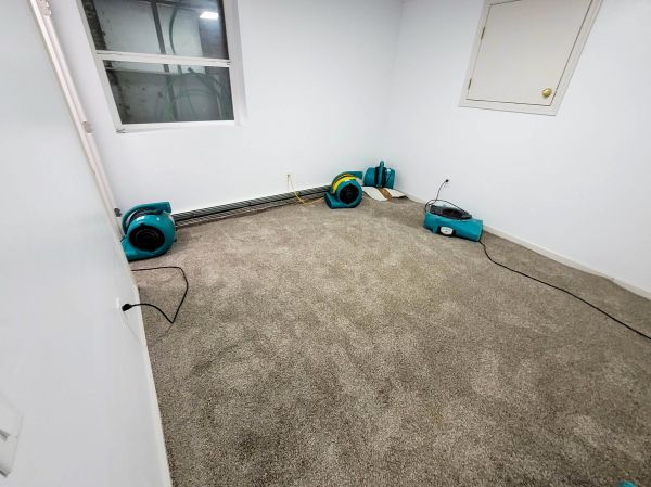 Flood Restoration Service in Mesquite