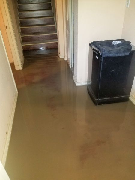 Cost of Emergency Water Removal in Mesquite