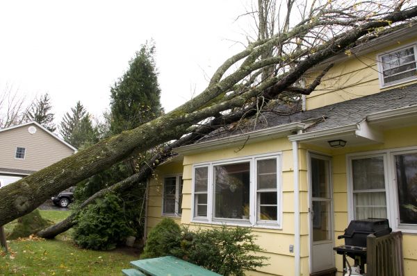 Hurricane Damage Repair in Mesquite