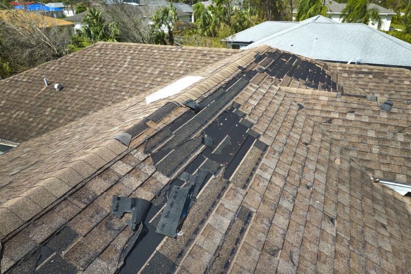 Repaired Roofs